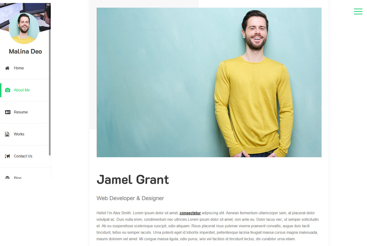 Free Resume WordPress Themes